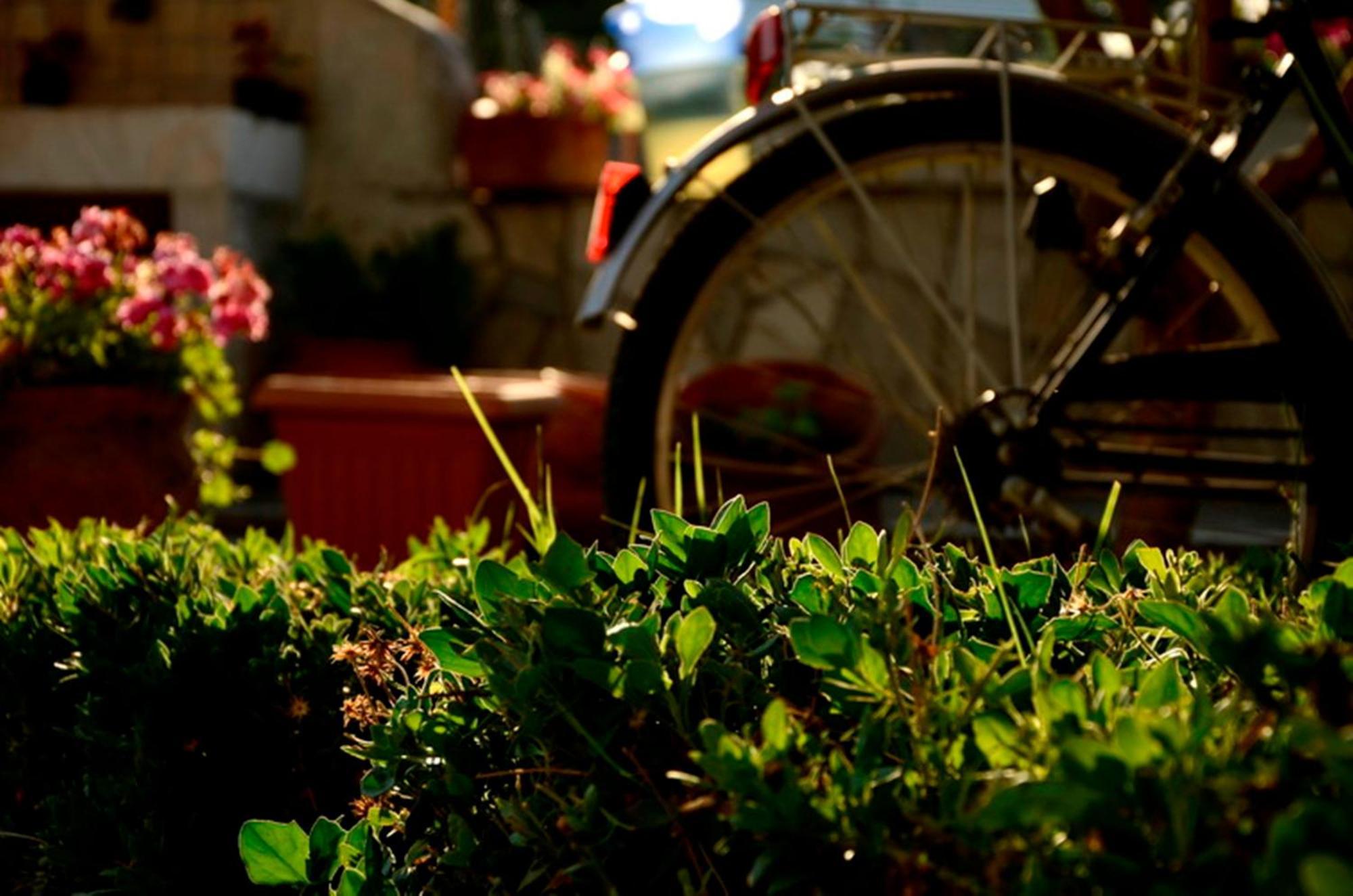 Appartamento Garden House Velika  Esterno foto