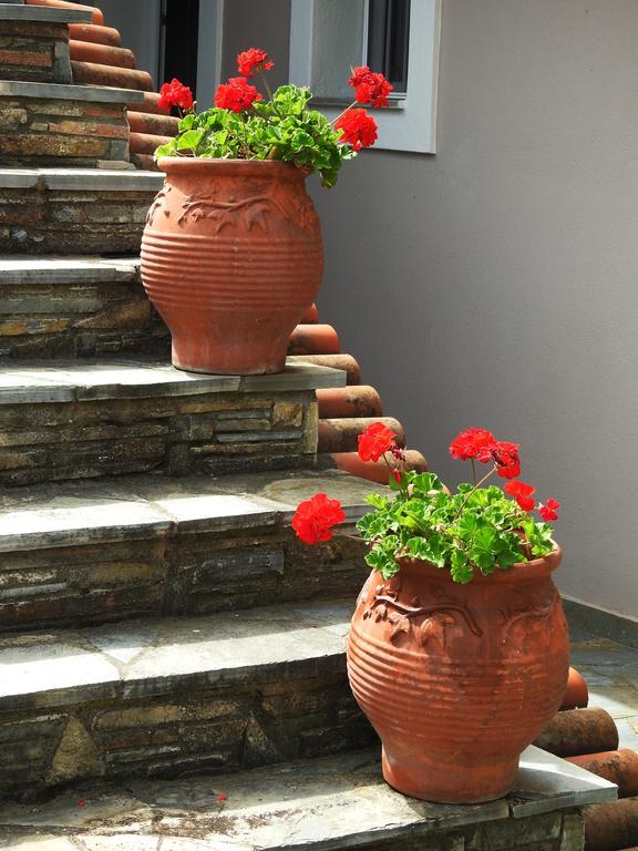 Appartamento Garden House Velika  Esterno foto